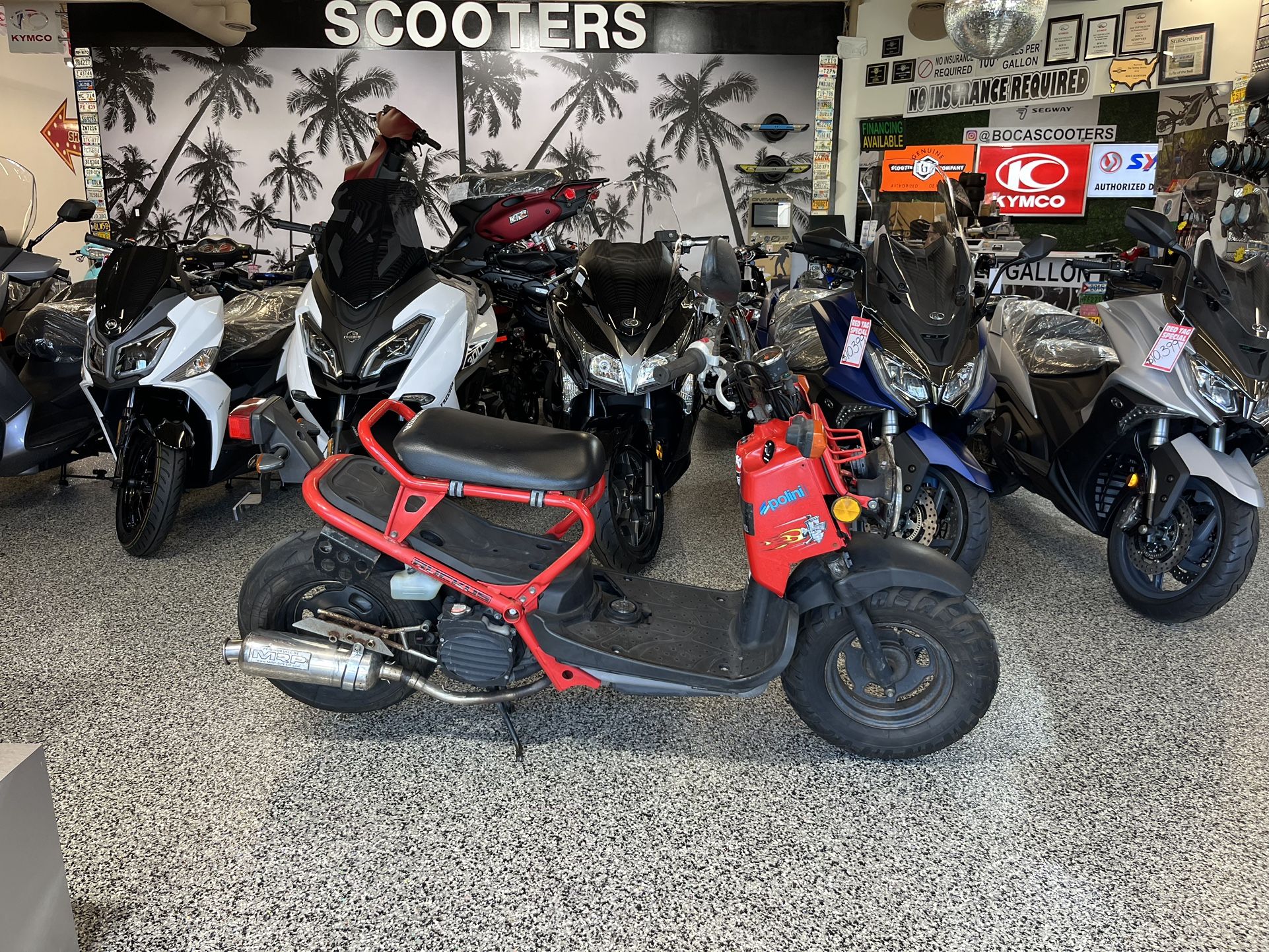 2009 HONDA RUCKUS 50 SCOOTER * Runs Great! * New Battery! for Sale in ...