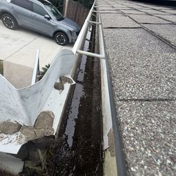 RAIN GUTTER CLEANING 