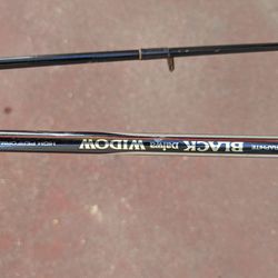Graphite Daiwa Black Widow Fishing Rod And Reel