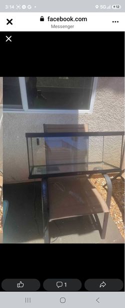 Lizard Tank