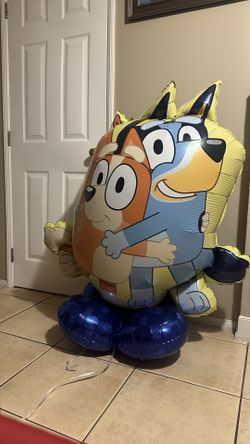 Bluey For Birthday Party