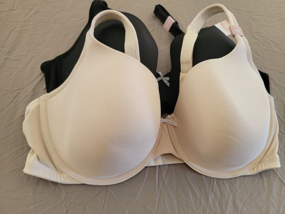 Lane Bryant Bras