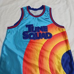 Tune Squad Nike Jersey