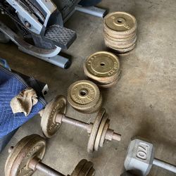 York Standard Plates 