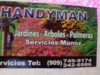 Se cortan arboles palmas trabajos de jardin se cortan yardas prosupuestos baratos