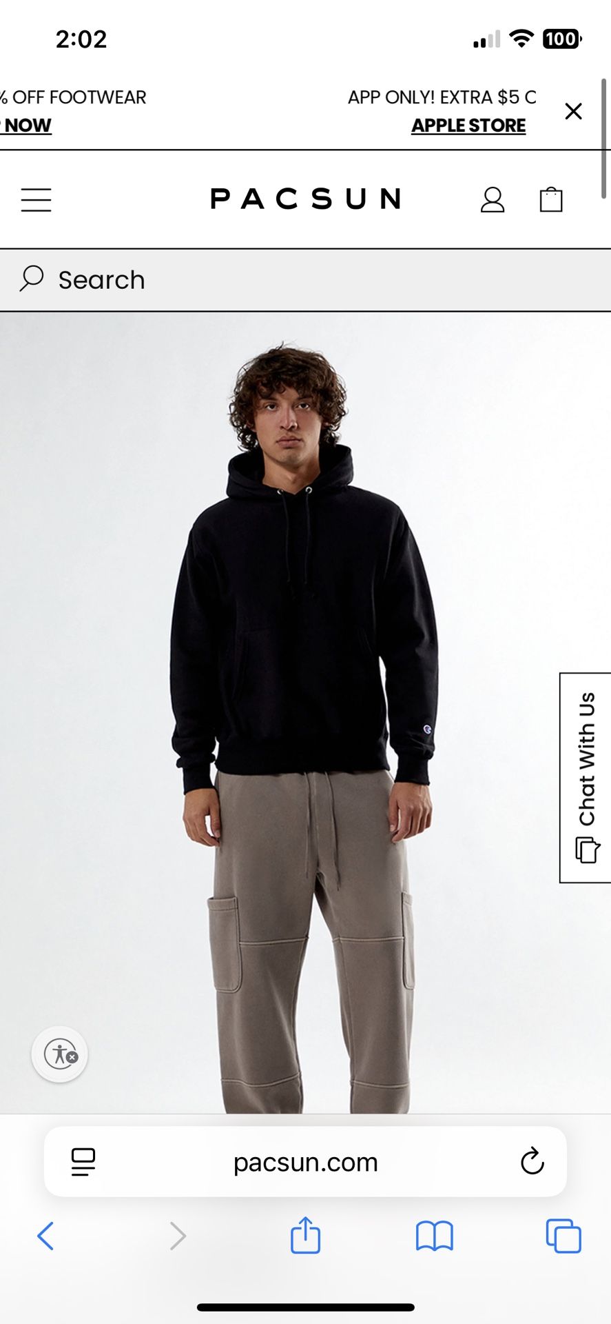 Champion Hoodies