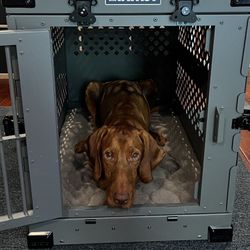 Impact Dog Crate 
