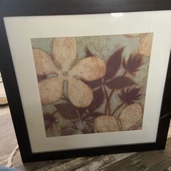 Framed Art