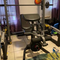 GYM SET (Excellent Condition)