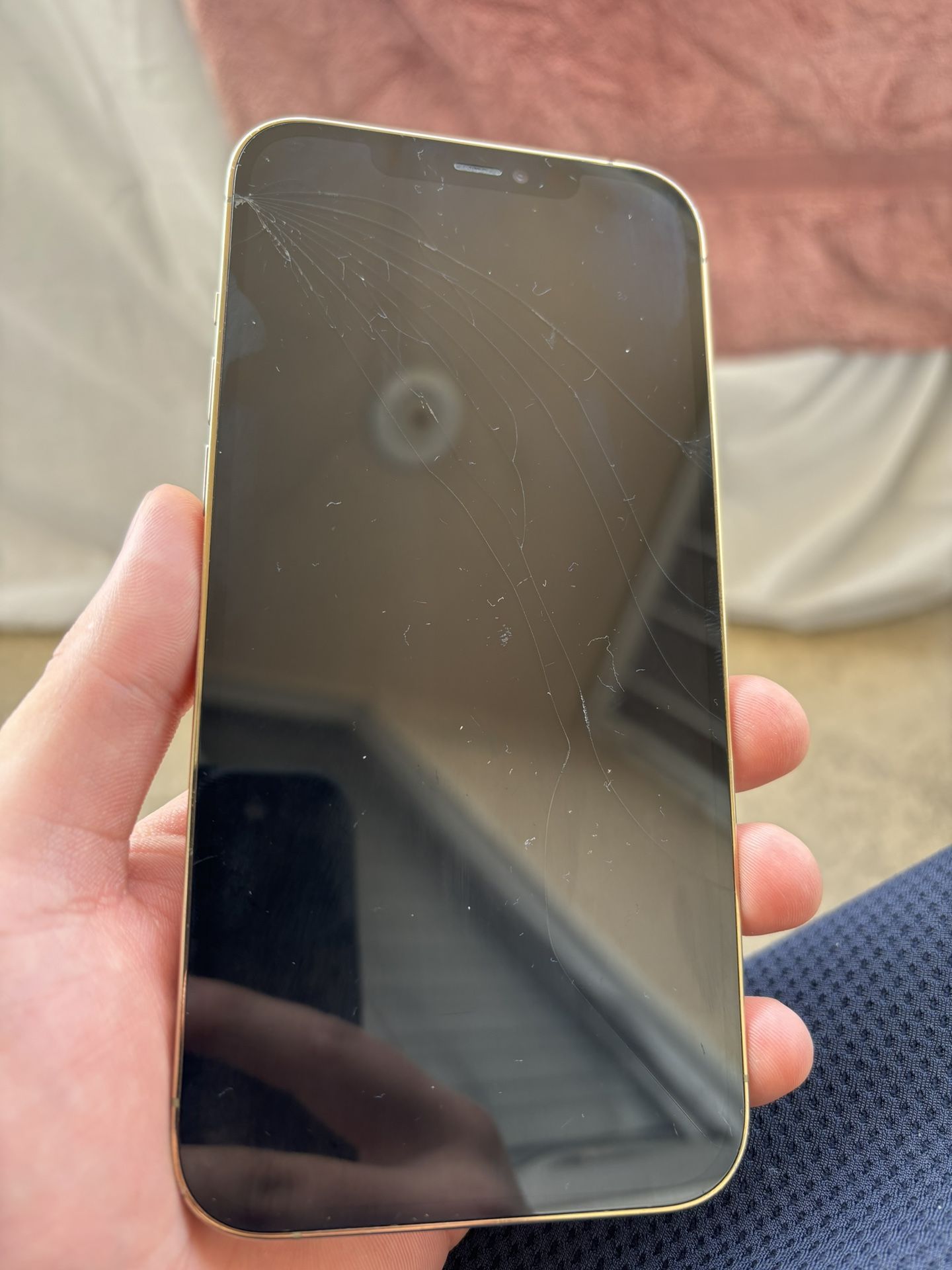 iPhone 12 Pro Max