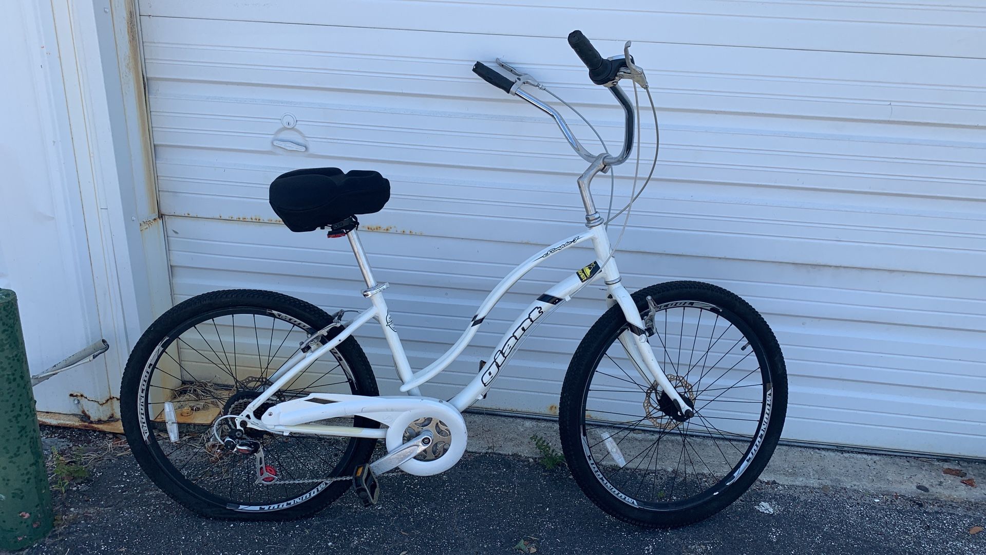 Giant Beach Crusier