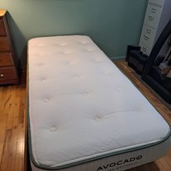 AVOCADO XL Twin Mattress