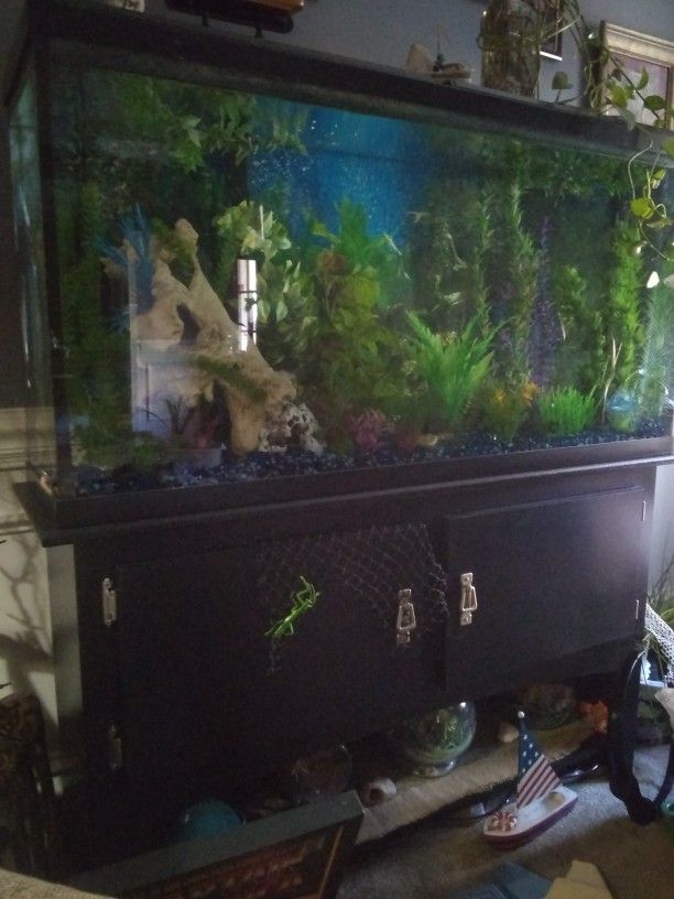 65 Gallon Aquarium & Stand