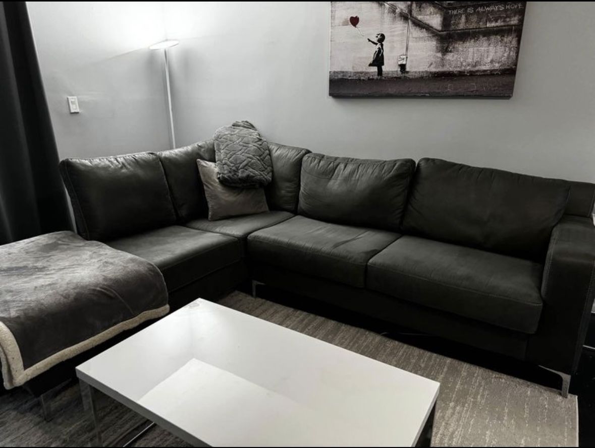 Ryler 2 Piece sectional with chaise
