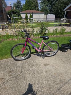 Adult Bike 24inch