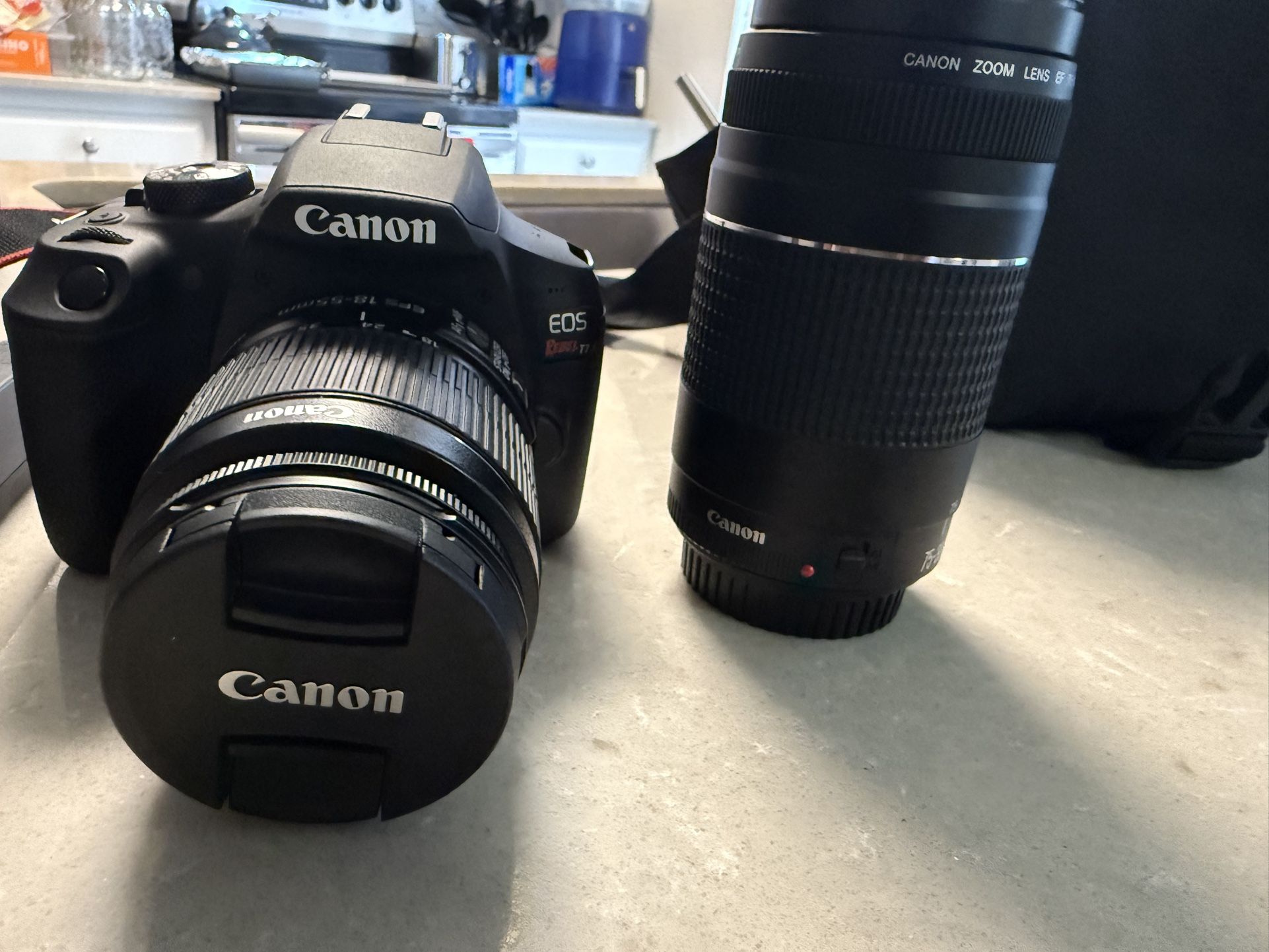 Canon Camera 
