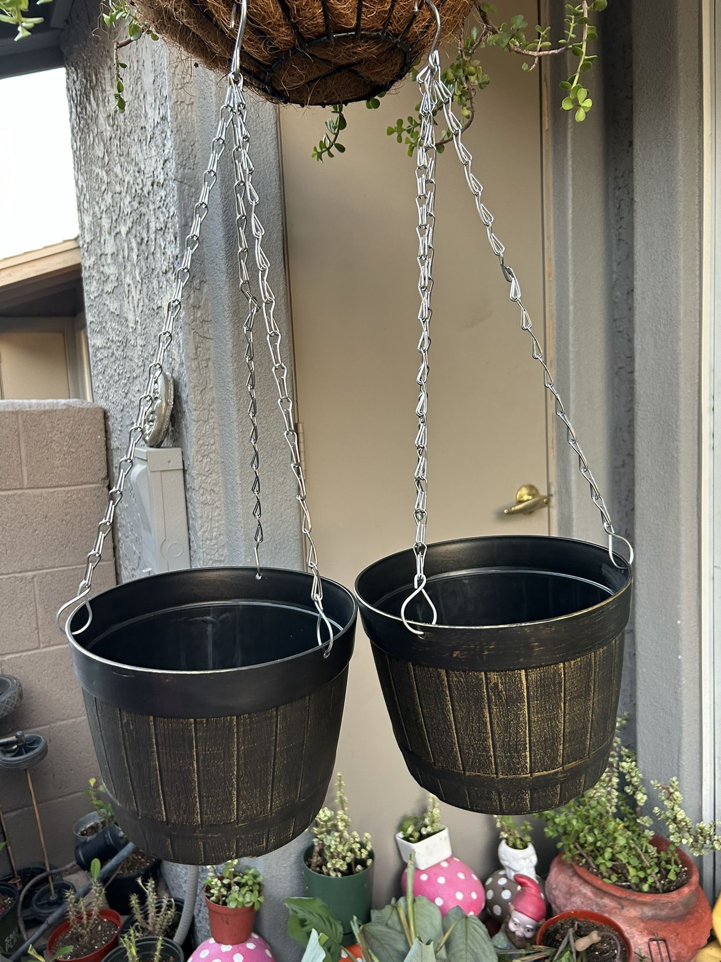 New Stan Plants