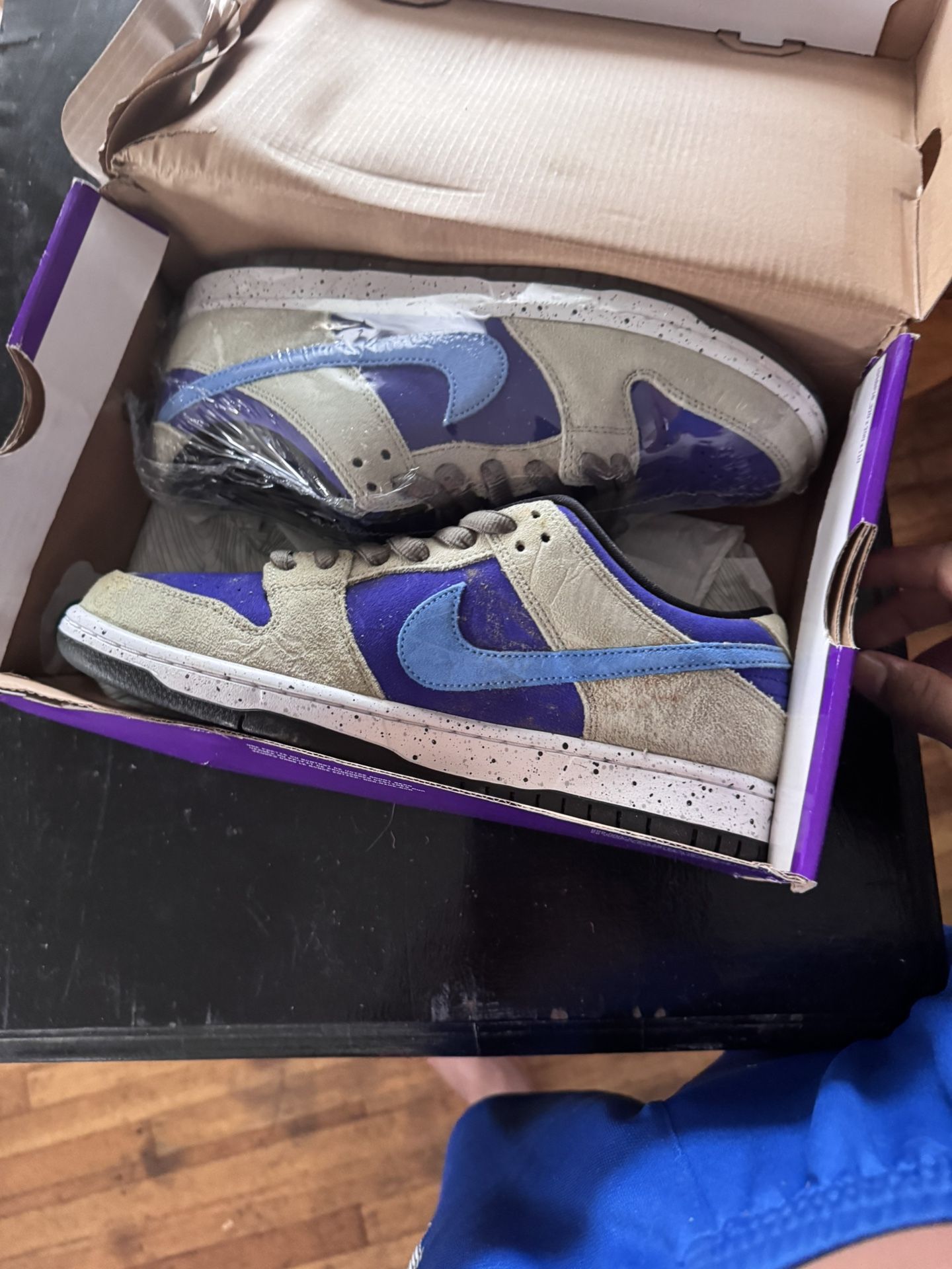 Nike SB Dunk Low Pro
