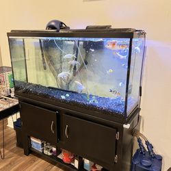 75 gallon Fish Tank and Cabinet Stand