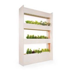 Wall Farm - indoor vertical garden - Click and Grow
