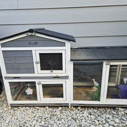 Rabbit Cage