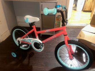 18” bike