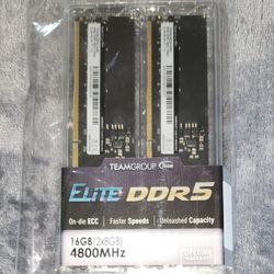 16GB DDR5 Ram