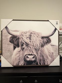 Highland Cow Framed Canvas Wall Art
