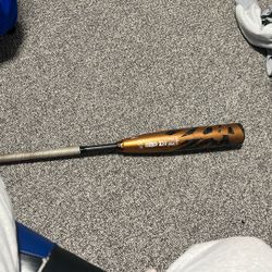 Bat