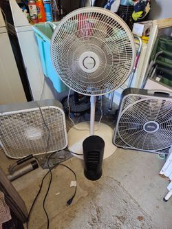 Fans