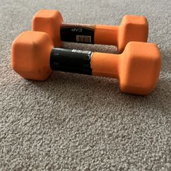 Workout Equipment 
