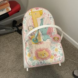 Infant To Toddler Rocker