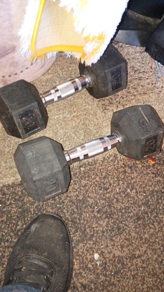 Two Dumbbell Weights  20 Lbs Each 