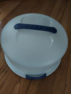 Large Sterilite Cake Server