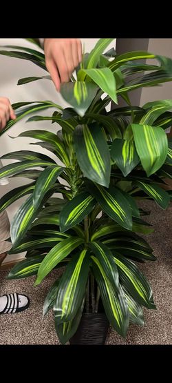 Artificial plant