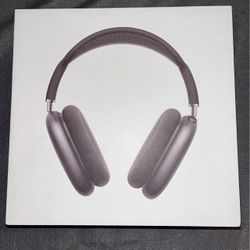Apple Head Phones 