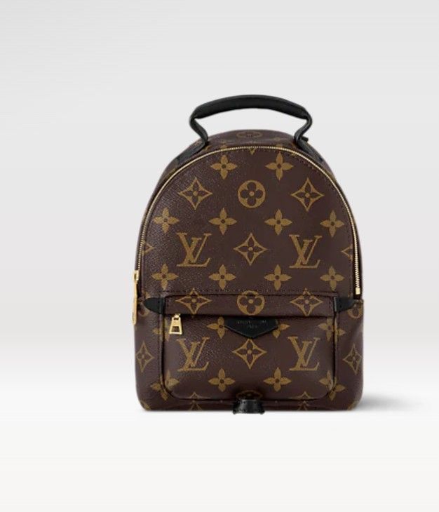 BackPack Purse