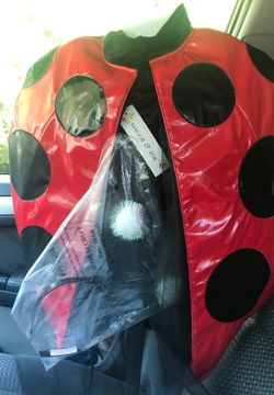 Halloween Ladybug Costume