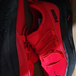 Puma 