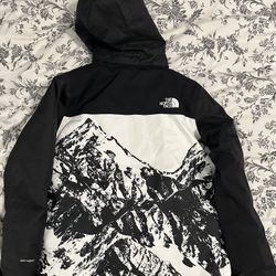 North Face Ski Jacket Size Large (12) Boys Brand New