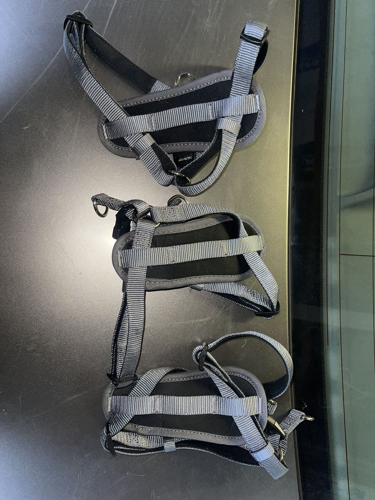 Small Dog Harness