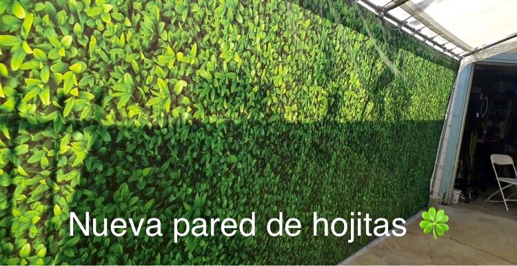 Birthday Decorations Baby Shower Wedding Bautizo Balloon Garland Graduation 👩🏻🎓 Fake Grass Tents 🎪 draping New Tent Wall