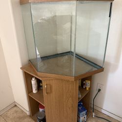 Fish Tank, Rock Pebbles, Pump And Accessories $150 