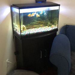 Fish Tank & Stand 
