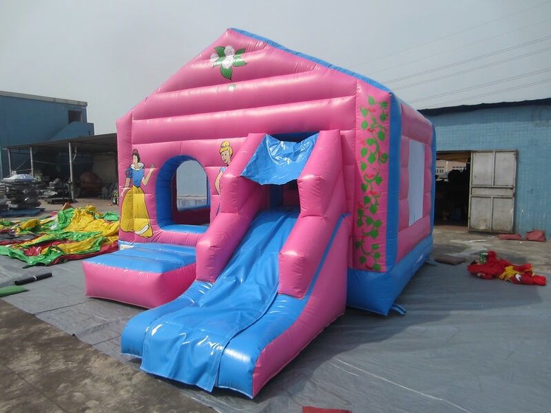 Commercial grade Inflatable