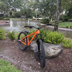 la plaga bike 29 inch 