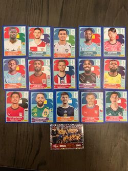 Panini World Cup