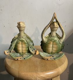 Green Turtles 