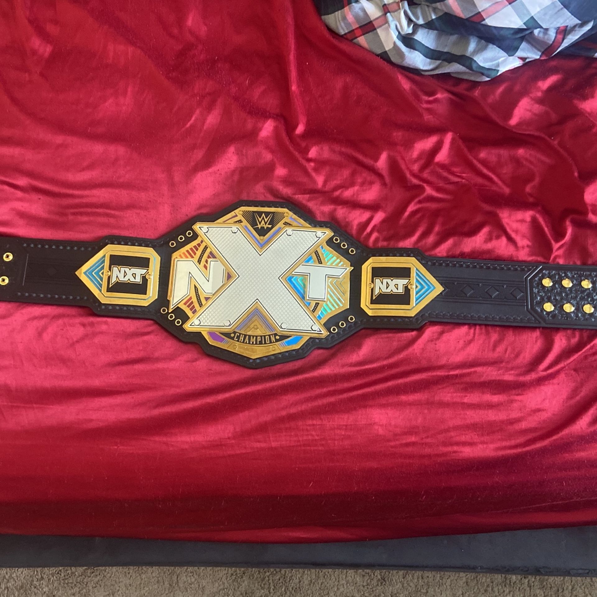 WWE NXT Title (with Cover Case)