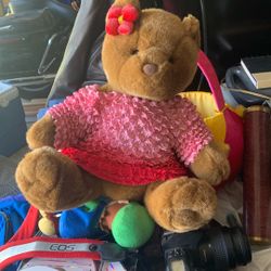 Build A Bear and Piccachu + Miscellaneous Stuffed Animals